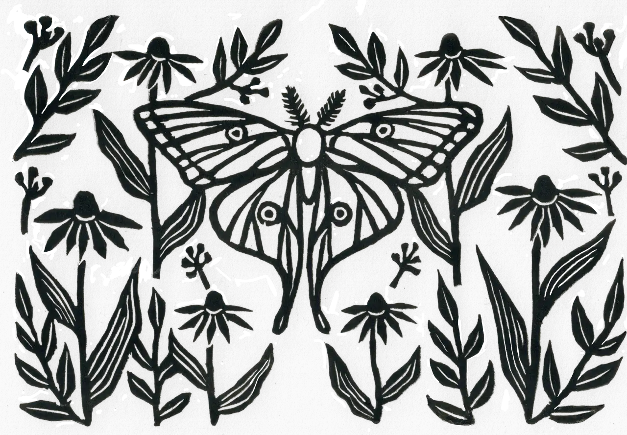 Moon Moth, a black ink linocut of a luna moth among coneflowers